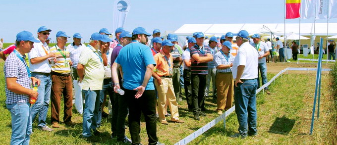 Summitterra 1b copy1