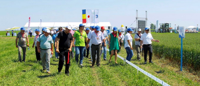 Summitterra 1b copy2