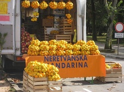 3752857-Selling oranges on the street Pazin