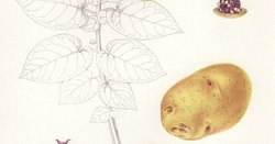 549f76a8486f97c8395c5ac8366894c8