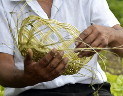 Consultanta gratuita dedicata antreprenorilor din mediul rural pentru obtinerea finantarii nerambursabile