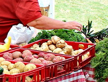 Lapte, fructe, legume: venituri corecte pentru fermieri si ajutor in cazul unor socuri ale pietei