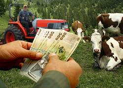 Plati APIA bovine ovine caprine motorina