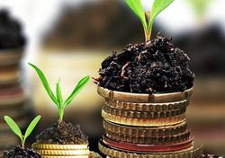 Aspecte fiscale pentru societatile din domeniul agricol