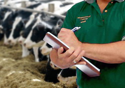 actiuni sanitar-veterinare