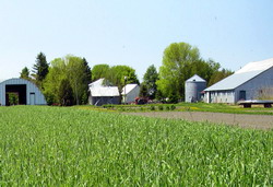 Taxa pe stalp pentru constructiile speciale din agricultura va fi eliminata din 1 ianuarie 2016