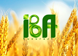 Evaluarea calitatatii granelor din recolta 2015