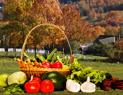 PNDR: Sprijin pentru desfacerea produselor si pentru dezvoltarea lanturilor scurte de aprovizionare