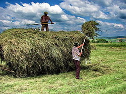 Ghidul fermierului pentru finantarea agriculturii traditionale si pentru protectia mediului
