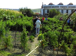 S-a deschis gradina experimentala din cadrul proiectului „Semintele traditionale – cheia protejarii biodiversitatii”