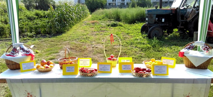 Gradina experimentala seminte traditionale legume