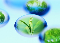 Proiect finantare multipla Bioeconomie