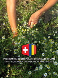 Pasionatii de remedii naturiste pot contribui la dezvoltarea unei gradini de plante medicinale la Cluj