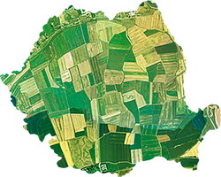 Fermierii si institutiile agricole au dezbatut situatia actuala a sectorului agricol romanesc