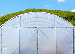 Caracteristicile foliei profesionale pentru sere si solarii