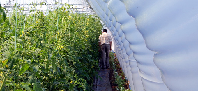 folie pentru sere si solarii - caracteristici