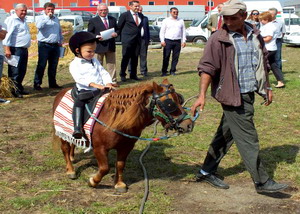 Agromalim 2015 animale de rasa 0008