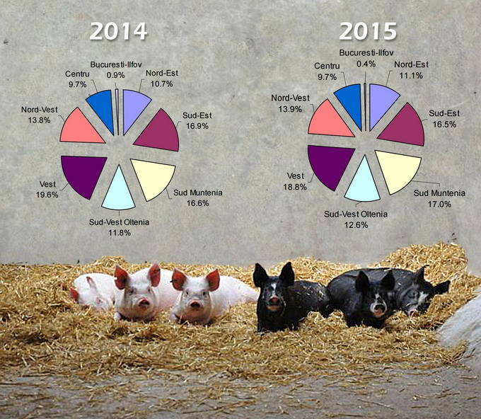 Efective de porcine 2014-2015