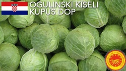 Soiul de varza pentru murat Ogulinski, protejat DOP