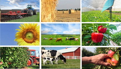 Platile catre fermieri se pot realiza incepand cu 16 octombrie