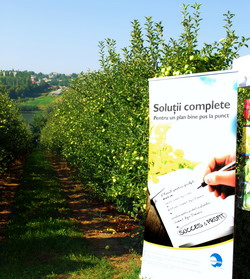 Inovatie de la Summit Agro pentru cultura marului