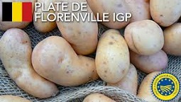 Deliciosul cartof „Plate de Florenville”
