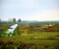 reconstructie ecologica pasune Carasuhat Mahmudia