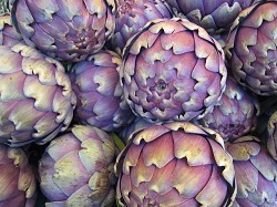 Anghinarea de Roussillon