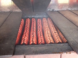 1095117 541132392601361 1891834528 n