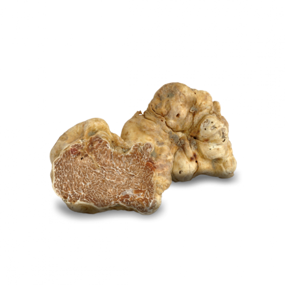 1tartufi-bianchi1-560x560