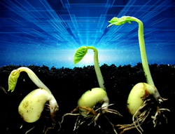 Prima biblioteca globala de informatii genetice a semintelor a primit unda verde