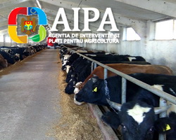 Colaborare institutionala AFIR-AIPA