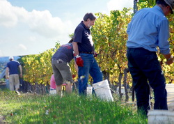 Federatia Italiana a Lucratorilor din Agricultura lupta pentru drepturile romanilor care lucreaza in strainatate