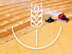 Conferinta Romanian Agribusiness in 2016