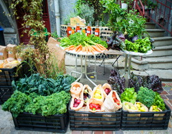 Greenpeace Romania: agricultura ecologica si sustinerea producatorilor locali reprezinta solutia pentru un viitor sustenabil