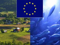 S-a aprobat cadrul legal de gestionare a fondurilor europene pentru agricultura si pescuit