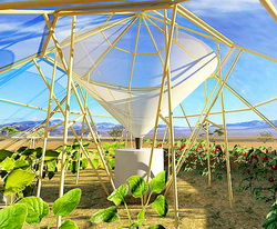 Sera care face posibila cresterea culturilor in desert. Acest sistem revolutionar promite schimbarea modului in care se face agricultura