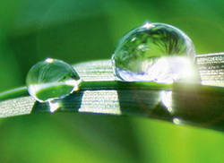 Invitatie la discutii cu specialisti in fertilizanti la INDAGRA 2015