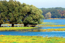 Studiu Romania importanta biodiversitatii