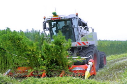 Cultivatorii de canepa sunt sustinuti de HempFlax