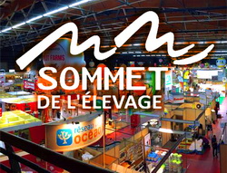 oportunitati de cooperare ferme bovine ovine Romania-Franta