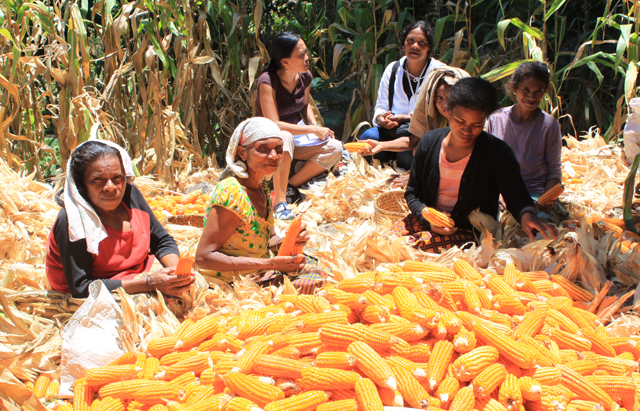 Adaptarea femeilor din agricultura la schimbarile climatice