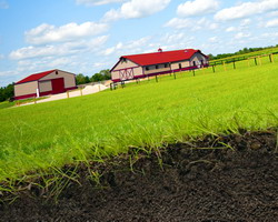 Valoarea productiei agricole a fost de 74,5 miliarde de lei, in 2014