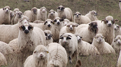 vlcsnap-2013-11-29-15h31m26s83