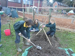 Luna decembrie in gradina de pomi