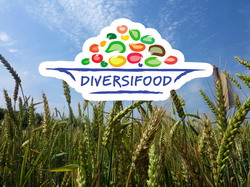 Diversifood – Dezvoltarea diversitatii si cresterea productivitatii in agricultura ecologica