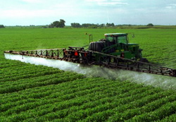 Concluziile evaluarii EFSA privind toxicitatea glifosatului