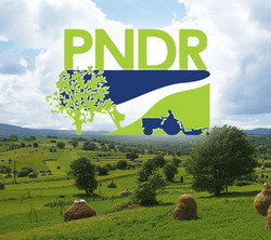 734 milioane de euro solicitate prin 6.082 de proiecte in prima sesiune anuala a PNDR 2020