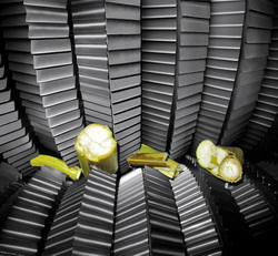 CLAAS MCC MAX – Medalie de argint pentru mai multa energie si o structura perfecta a furajelor de porumb