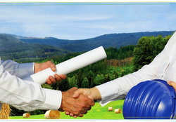 dezvoltare sector biomasa agricola si forestiera